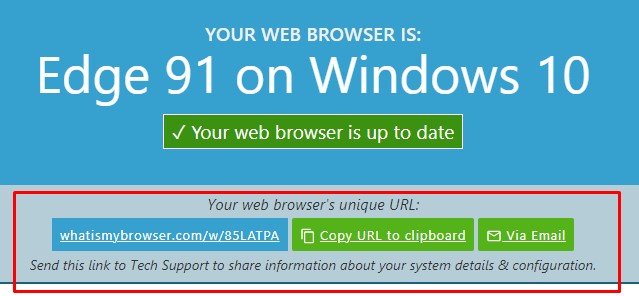 whatismybrowser2.jpg